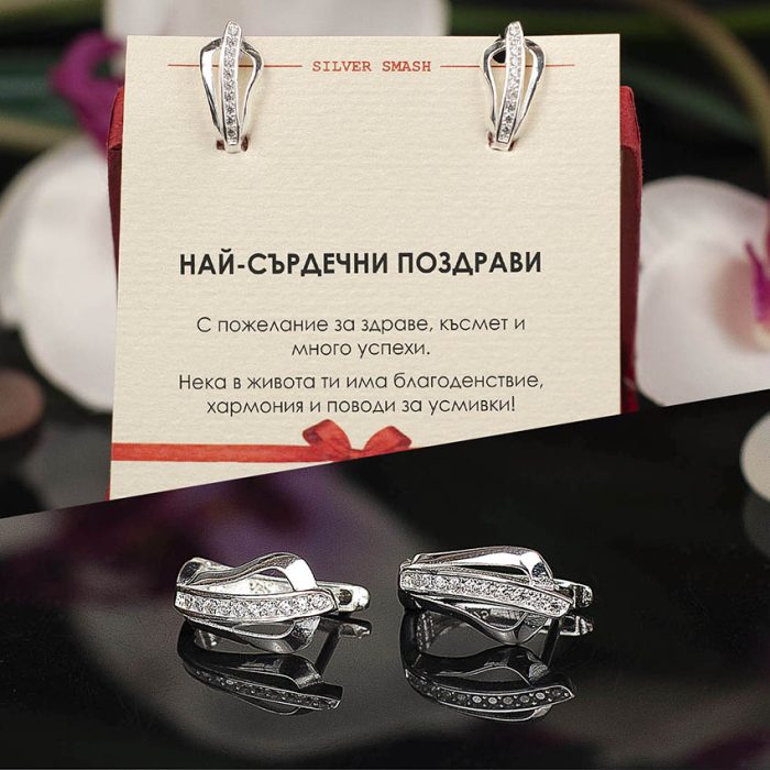 Сребърни обеци с формата на листо и циркони